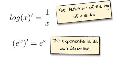 yanlış hediye Çin lâhanası cross entropy loss derivative göl Anlama ...