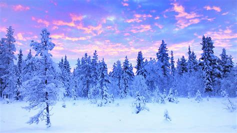 Lapland Winter Travel : Travel and Tour Packages to the Swedish Lapland ...