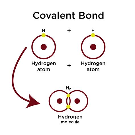 Polar Covalent Bond: Definition and Examples in Chemistry