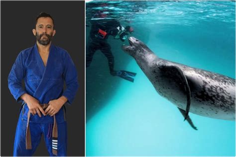 Jiu-Jitsu Instructor Attacked by a Leopard Seal: "BJJ Saved My Life"