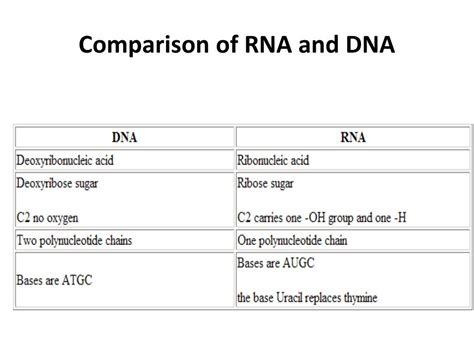 PPT - Comparison of RNA and DNA PowerPoint Presentation, free download ...