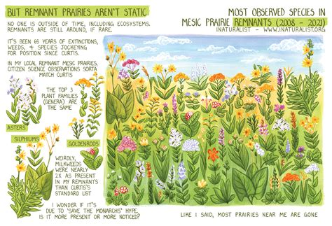 Interleaving Ways of Knowing a Prairie: Drawing, Data, and Plants ...