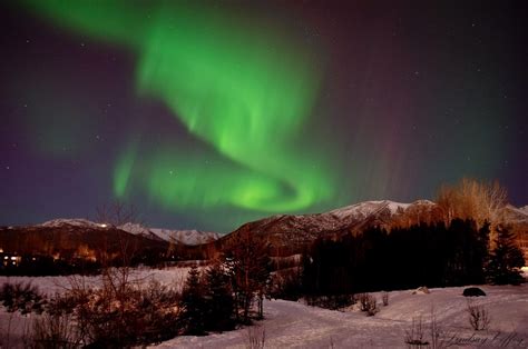 Northern Lights, Anchorage Alaska