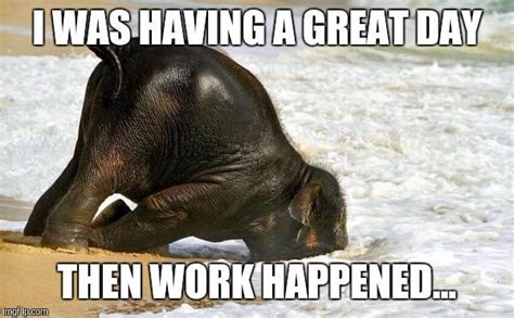 25 Mood-Improving Memes for When You're Having a Bad Day at Work ...