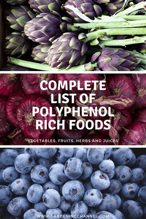 List of polyphenol rich vegetables, fruits, herbs and juices ...