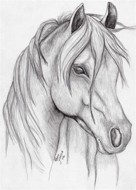 Beautiful Horse Drawing by FixItMomAZ