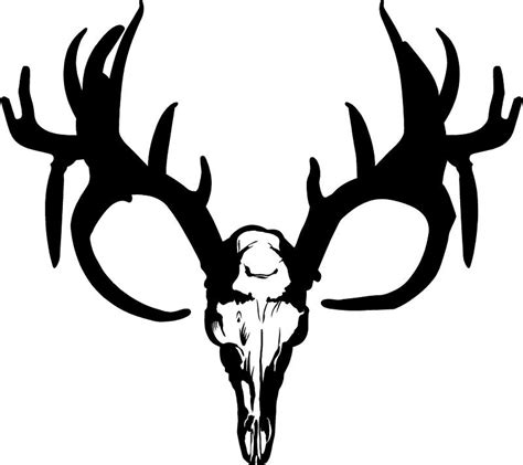 Buck Skull Outline - ClipArt Best