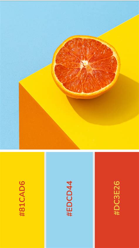 Healthy Color Palette, Neon Colour Palette, Orange Color Palettes ...