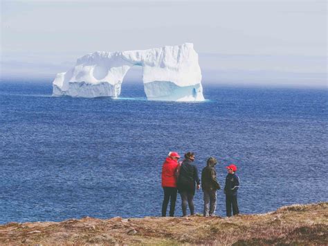 Newfoundland and the world’s biggest iceberg parade | Adventure.com