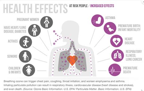 PITTSBURGH SMOG BLOG: Health Effects of Air Pollution