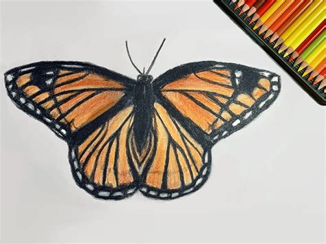 Easy Drawing Of A Butterfly