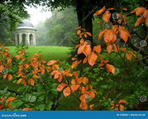 Garden view in autumn stock photo. Image of fall, historic - 238088