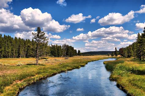 Red River New Mexico Fly Fishing