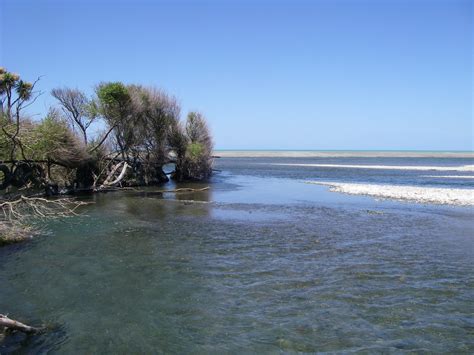 Land, Air, Water Aotearoa (LAWA) - Ashburton River upstream of the mouth