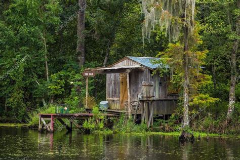 Old house in a swamp in New Orleans ⬇ Stock Photo, Image by © f11photo ...