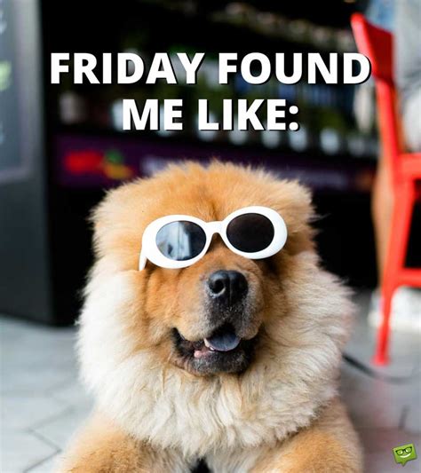 funny-Friday-quote-with-dog - Professional Hearing Services