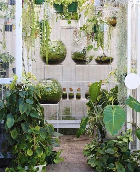 50 Indoor Garden Ideas - How to Make Your Own Indoor Garden at Home