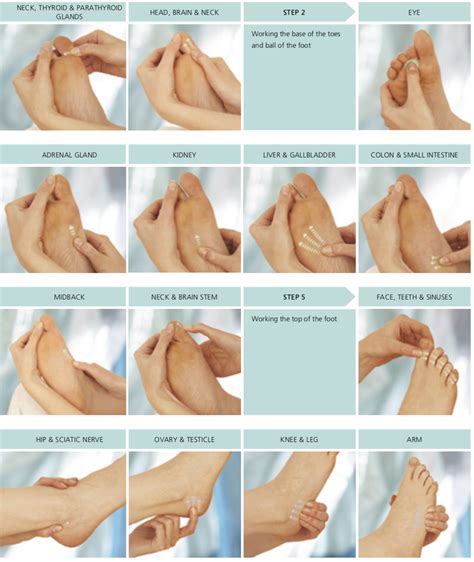 Complete self-help foot sequence | Foot massage techniques, Massage ...