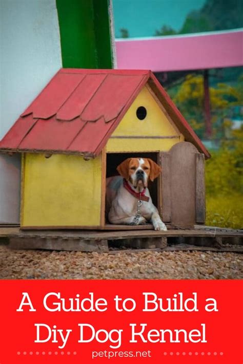 Building a DIY Dog Kennel: An Easy Step-by-Step Guide