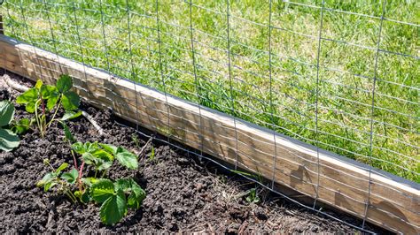 How to Attach Wire Mesh to a Wood Fence