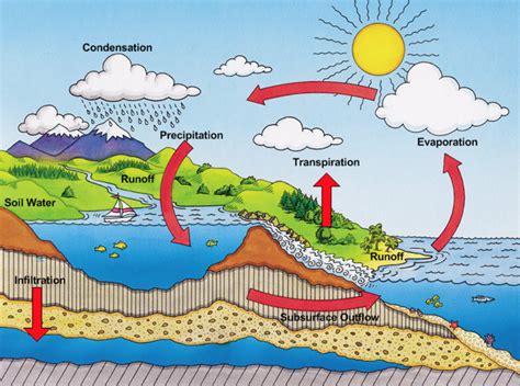 Define Water Cycle