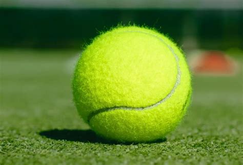 Tennis Balls – 13 Surprising Facts You Should Know