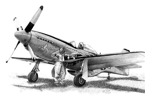 P51 Mustang aircraft illustration