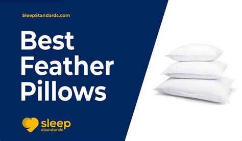 Top 9 Best Feather Pillows in 2022