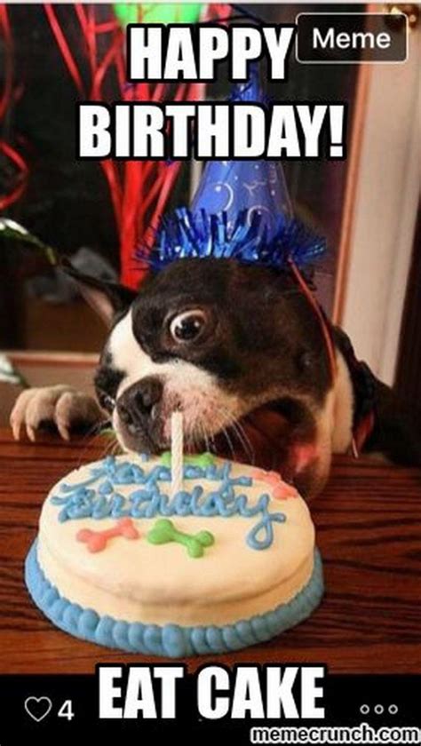 Birthday Meme Funny Dog