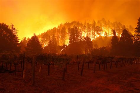 Glass Fire in California burned one acre every five seconds, officials ...