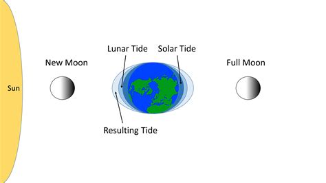 11.1 Tidal Forces – Introduction to Oceanography