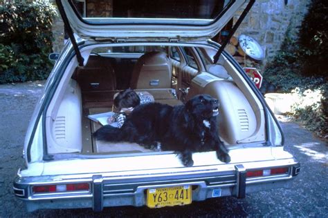 Vintage Snapshots: Life In The Station Wagon - Curbside Classic