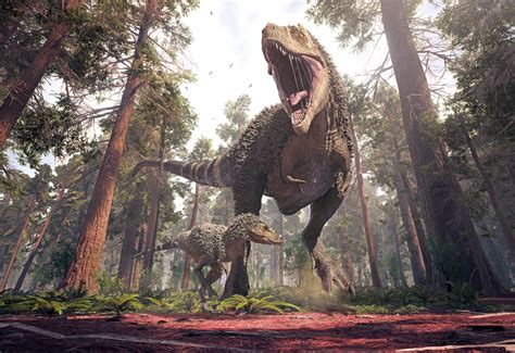 How Many Tyrannosaurus Rex Walked the Earth? | Discover Magazine