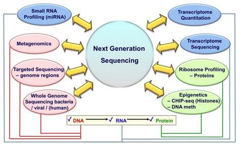 Human Genome Project Applications