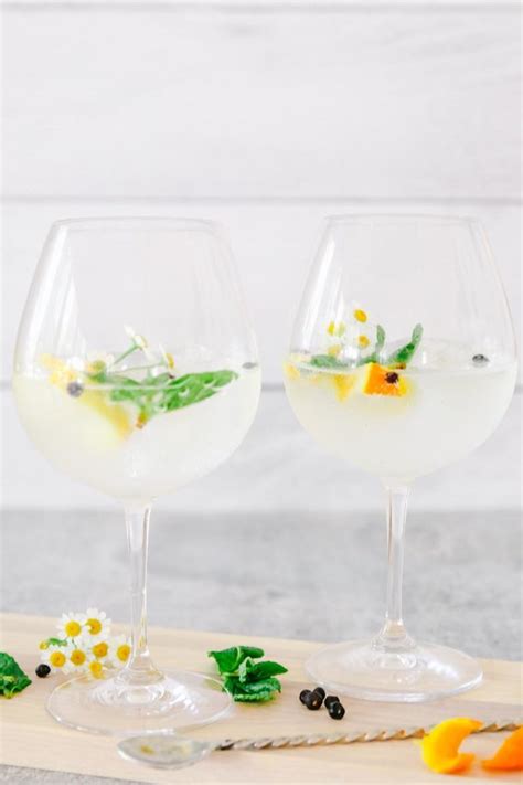 Spanish Gin and Tonic Recipe - Modern Glam - Recipes