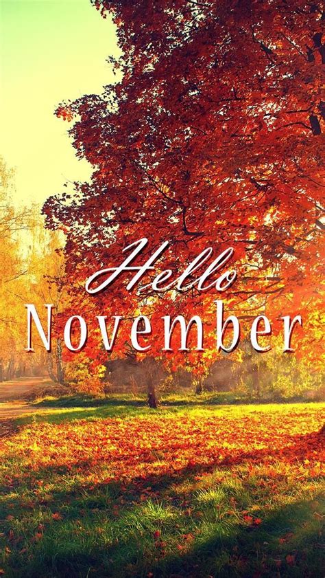 Wallpaper iPhone/hello November/fall ⚪️ | Pemandangan, Wallpaper iphone ...