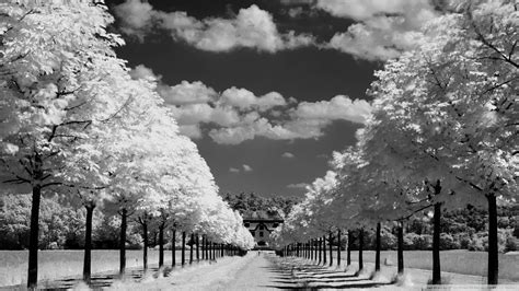 70 HD Black And White Wallpapers For Free Download (Resolution 1080p)