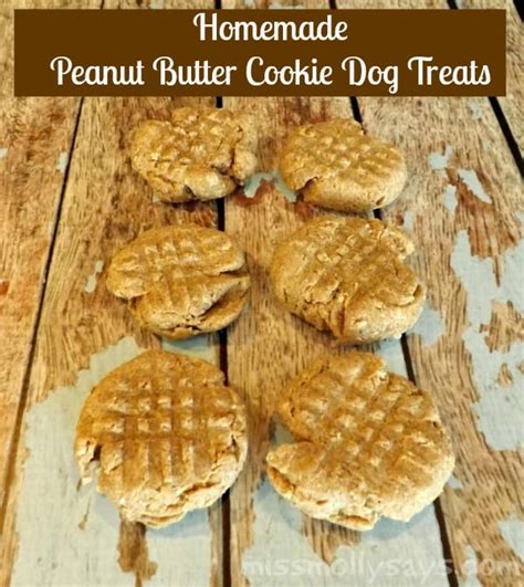 Homemade Peanut Butter Cookie Dog Treat Recipe (3 ingredients)