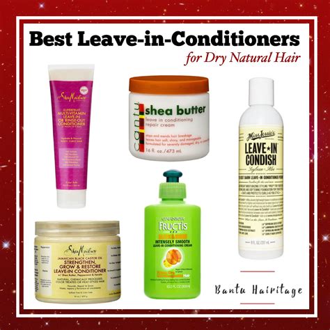 Best Moisturizer Best Leave-in-Conditioner for dry hair | Dry natural ...