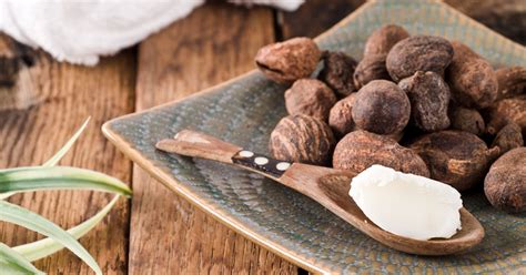 What Is Shea Butter? 22 Benefits, Uses, and Products to Try