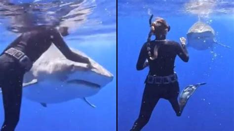 Scuba diver shows how to prevent shark attack in eye-opening video