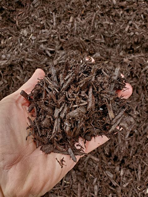 Dark Brown Enhanced Mulch | Birch Tree Bark & Stone