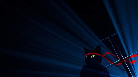 Ninja Cat 1080P, 2K, 4K, 5K HD wallpapers free download | Wallpaper Flare