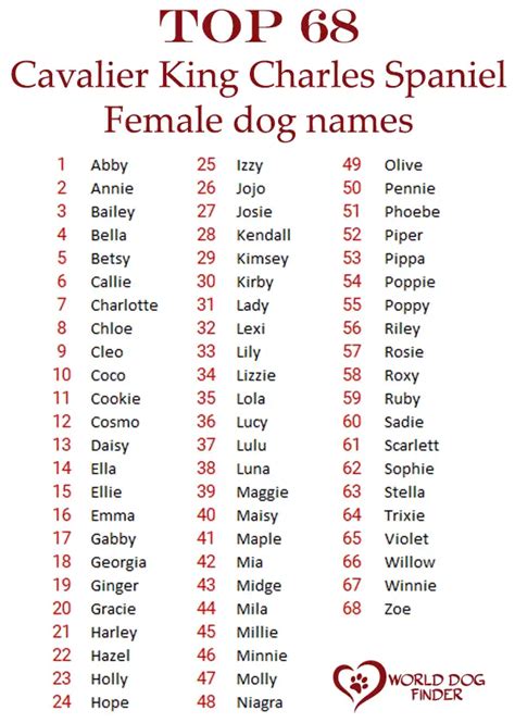 140+ Best Cavalier King Charles Spaniel Names