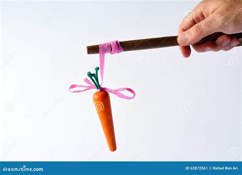 Man Hand Offering a Carrot on a Stick Stock Image - Image of child ...