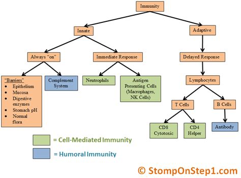 Introduction to Immunology | Stomp On Step1