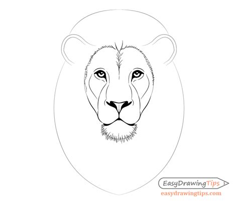 Lion Drawing Face