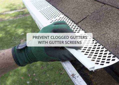 Gutter Screen Installation Los Angeles | RayAccess Inc.