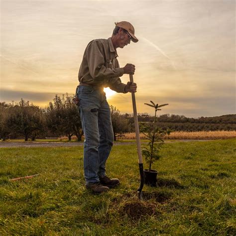 10 FREE TREES! Arbor Day Foundation Membership. Arbor Day Foundation ...