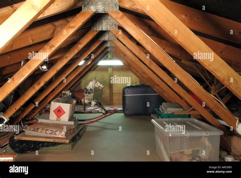 Domestic house loft space attic low roof pitch & headroom timber roof ...